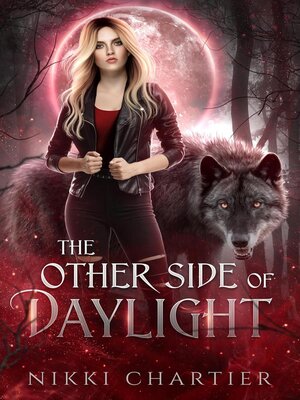 cover image of The Other Side of Daylight
